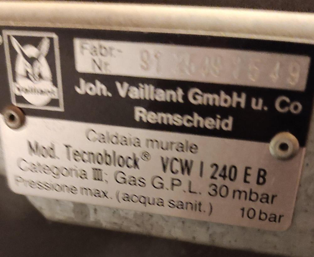 vaillant1.jpg