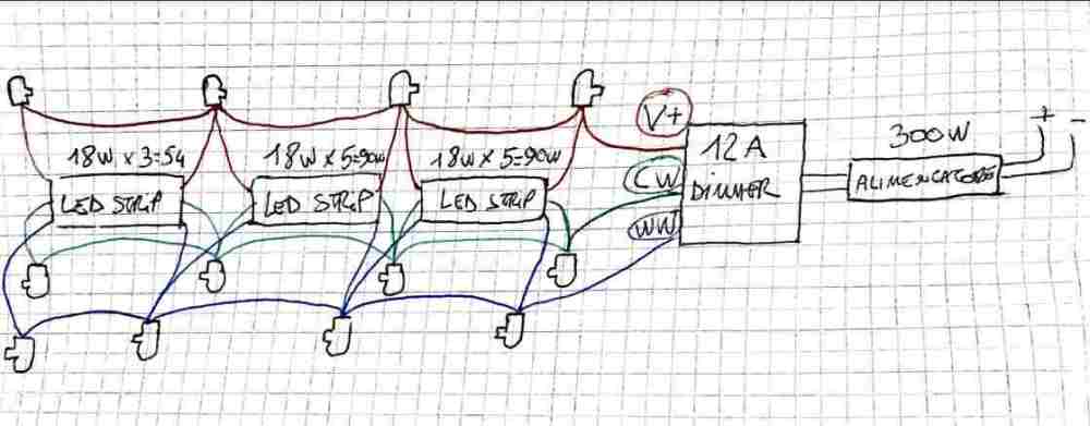 circuito.jpg